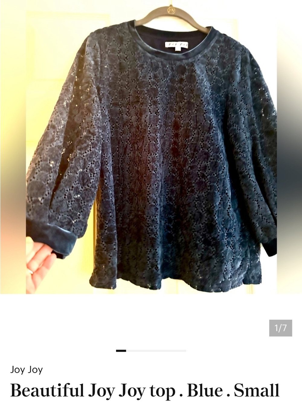 Beautiful Joy Joy top . Blue . Small ( runs true to size)